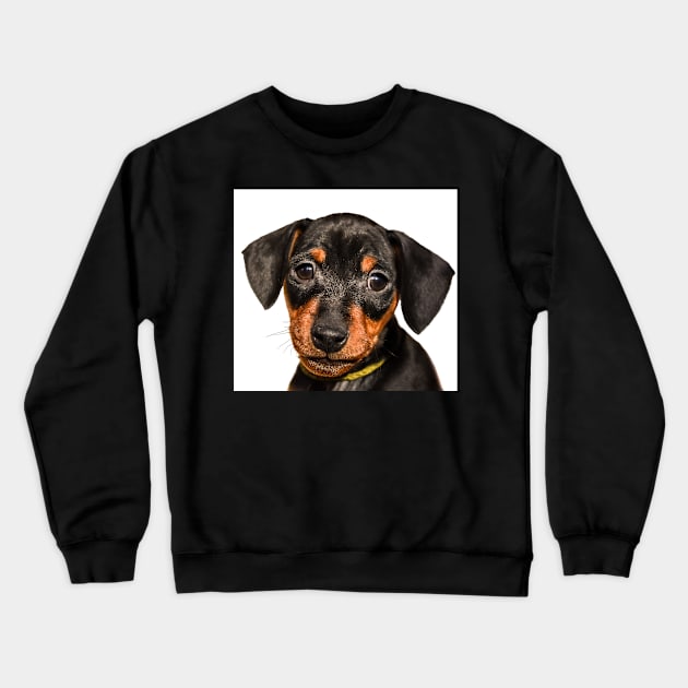 Portrait of black puppy Crewneck Sweatshirt by lena-maximova